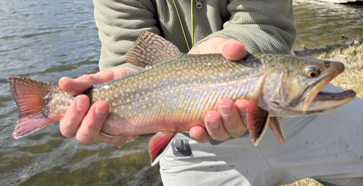 HawsP🎺 64 tweet media