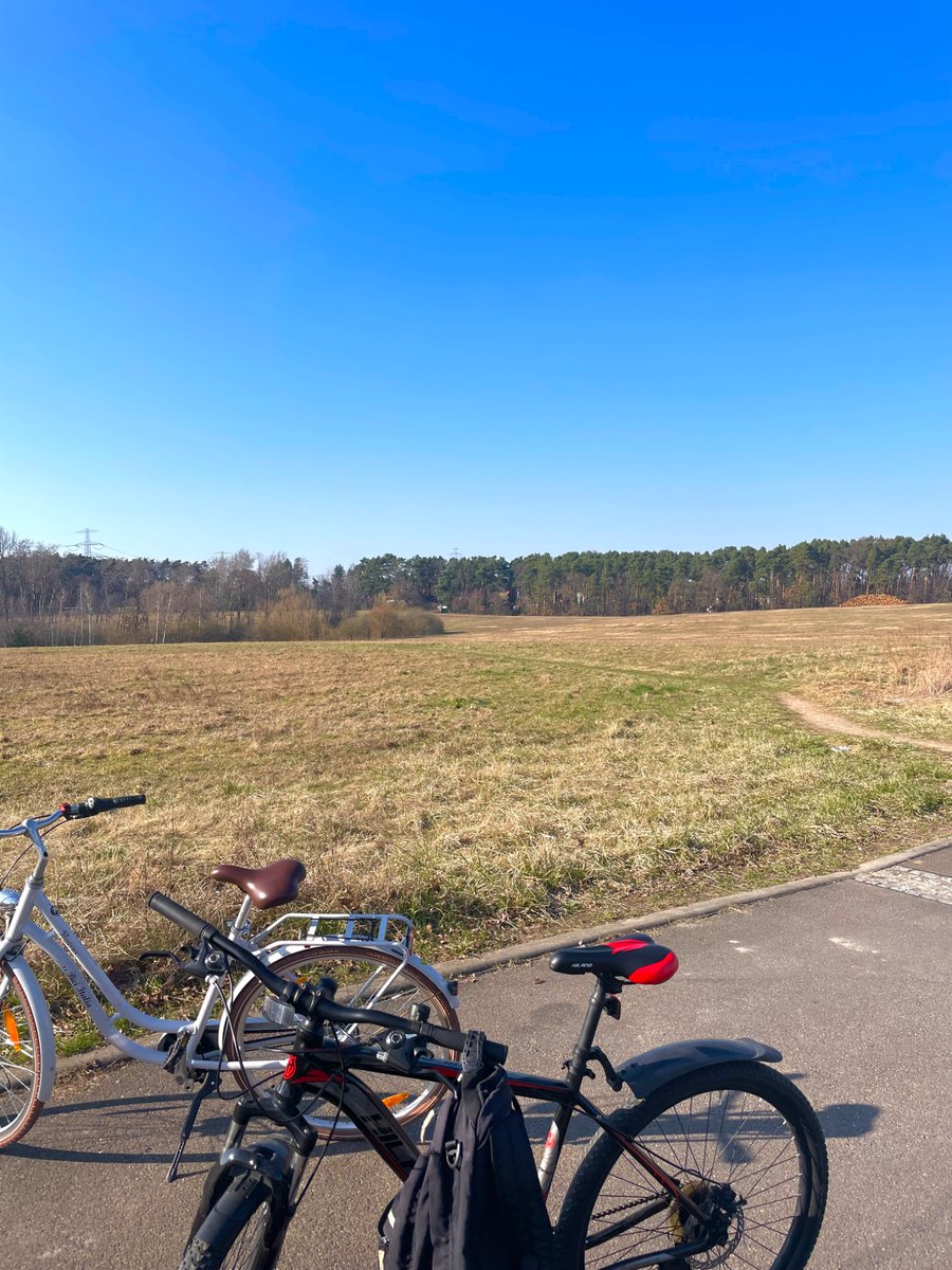 Jan-Ludvík tweet media