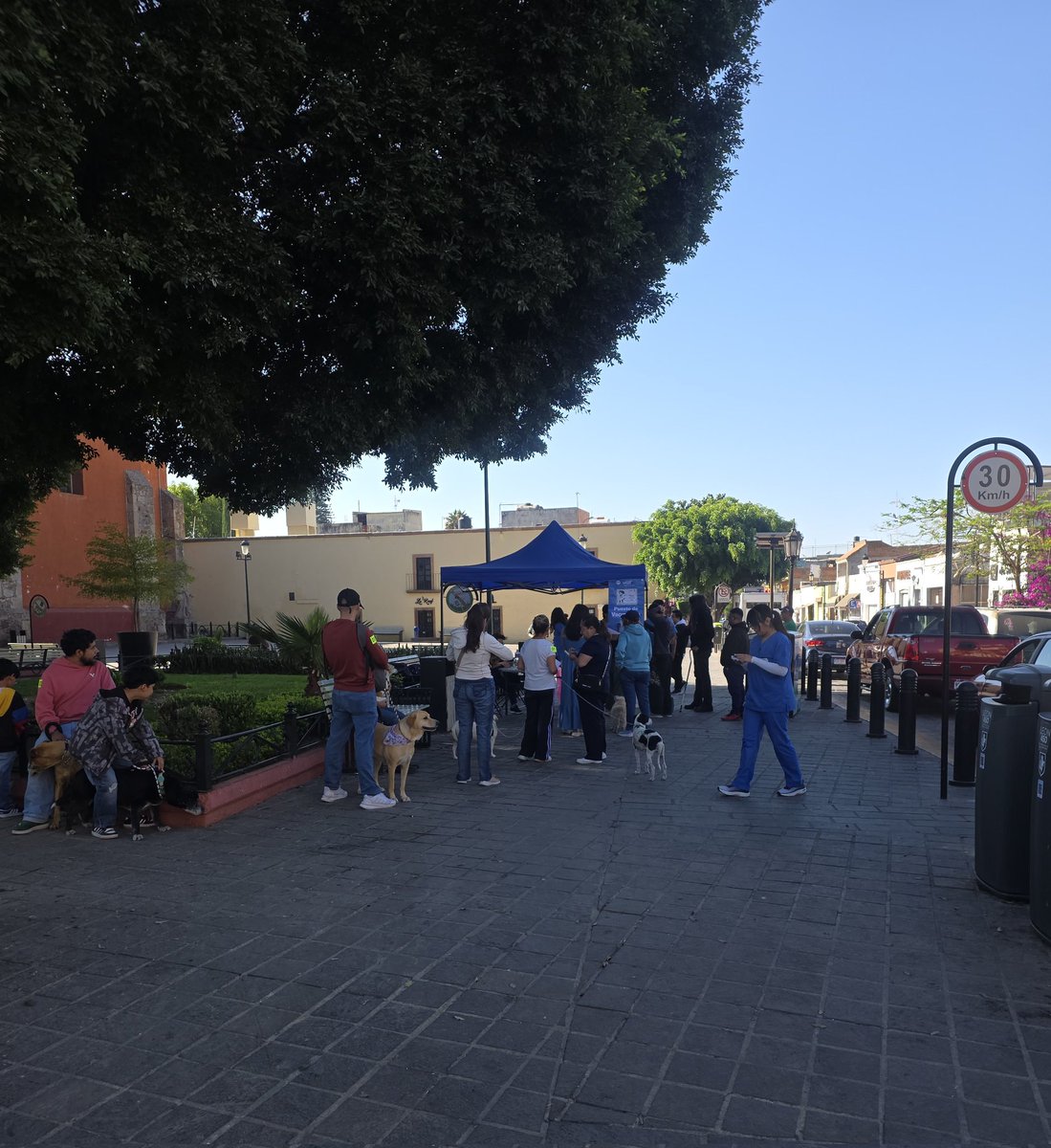 Campaña de Vacunación Antirrábica en el jardín de San Juan de Dios. Hoy domingo de 9 a 3 pm.🐩🐱🐕‍🦺

#León