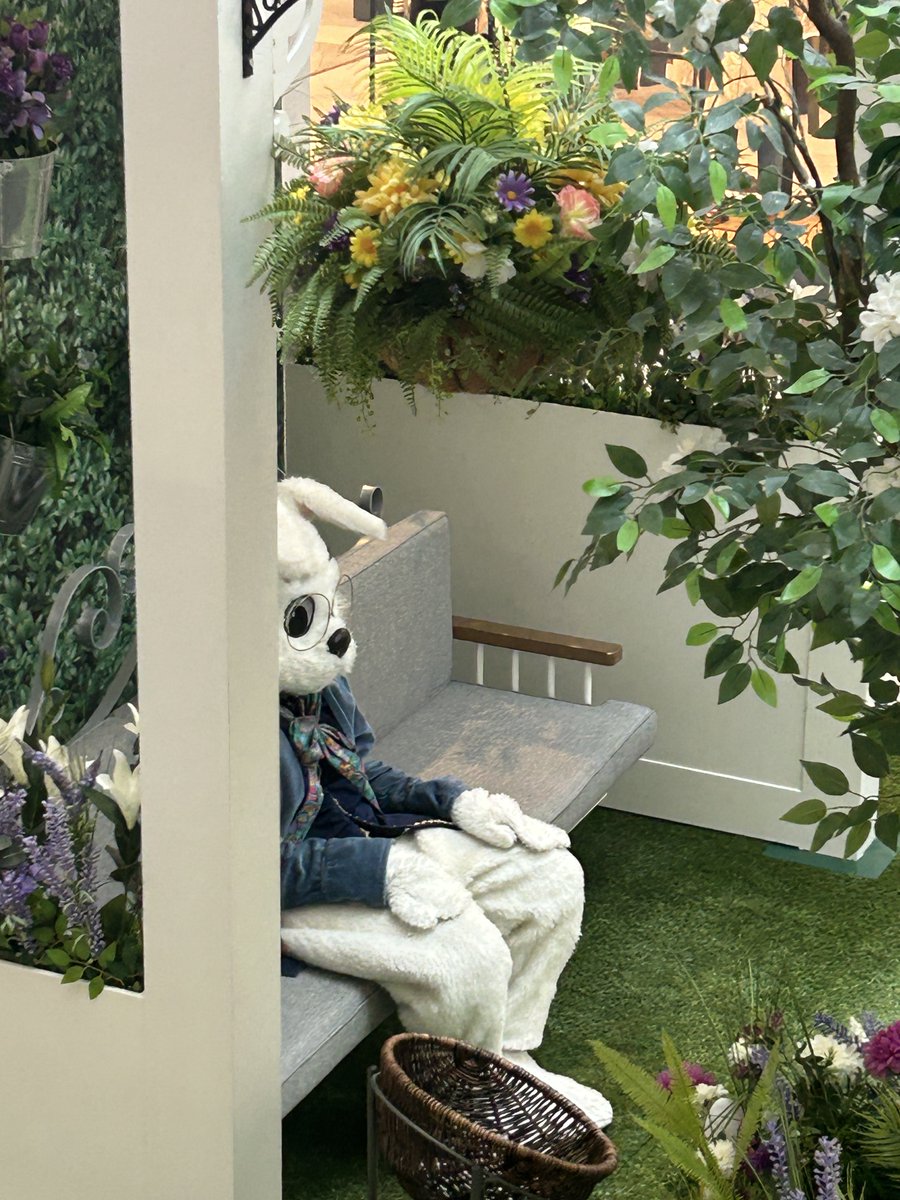 Barbara Barker tweet media