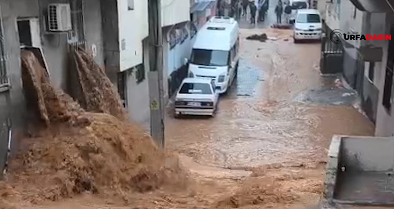 Urfadasın tweet media