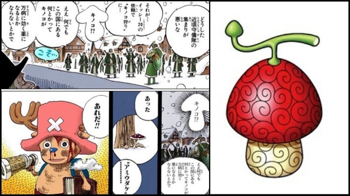チョッパーの悪魔の実がイム様の悪魔化の技に影響を及ぼしてる？ 医療