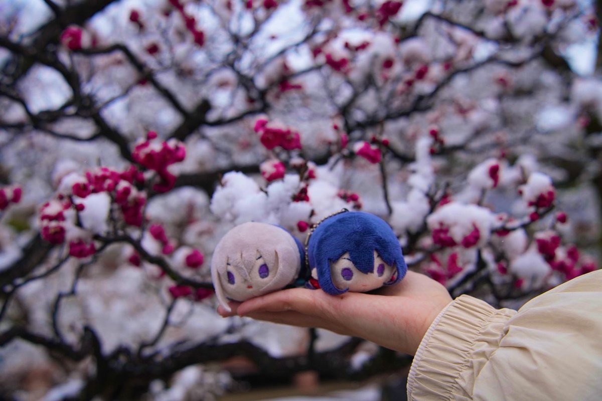 ろんろね tweet media