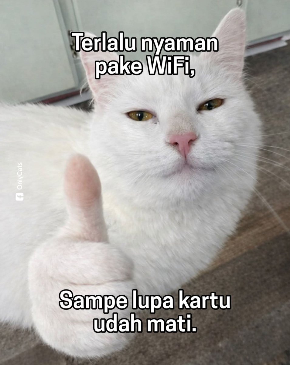 Bad Gateway | 🤖ボッ tweet media