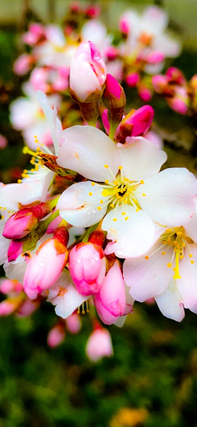 juju52🛫✨ tweet media