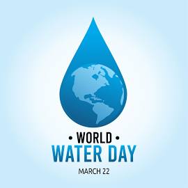 African Well Fund tweet media