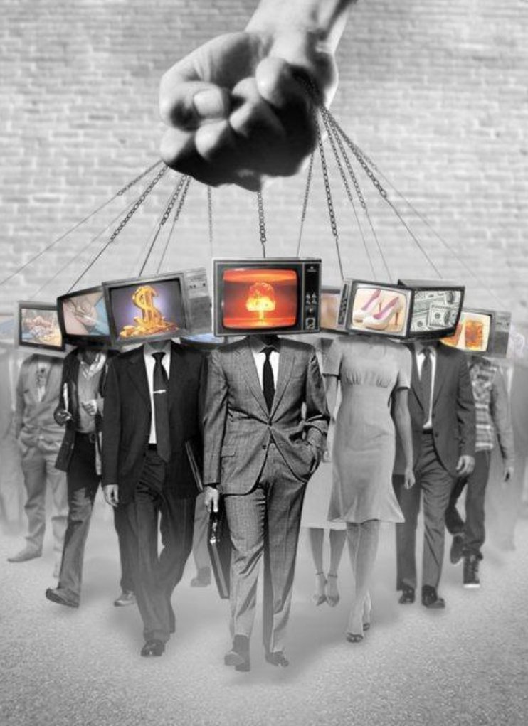 Dr. Dina McMillan 🇺🇸 tweet media