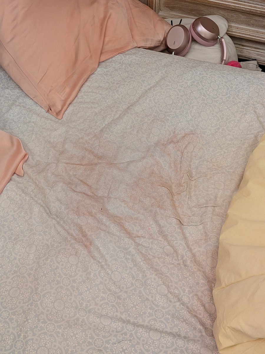 ݁ ˖Ი𐑼⋆ 𝓯𝓲𝓪⁷◞ can be animals tweet media