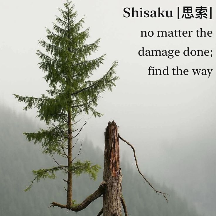 Zen masters tweet media