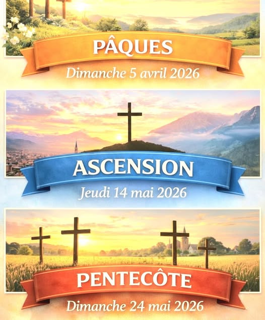 🇫🇷Olivier92🇺🇸 tweet media