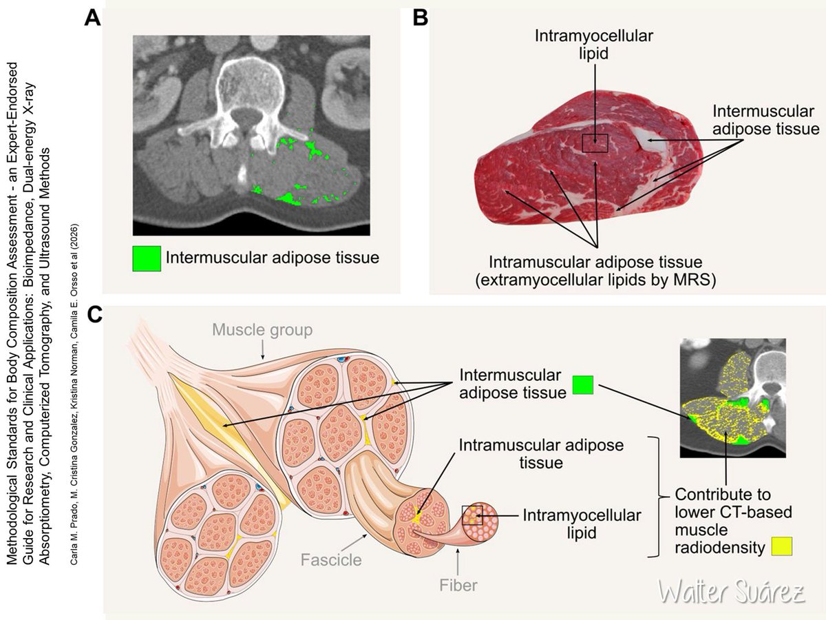 Walter Suárez Carmona tweet media