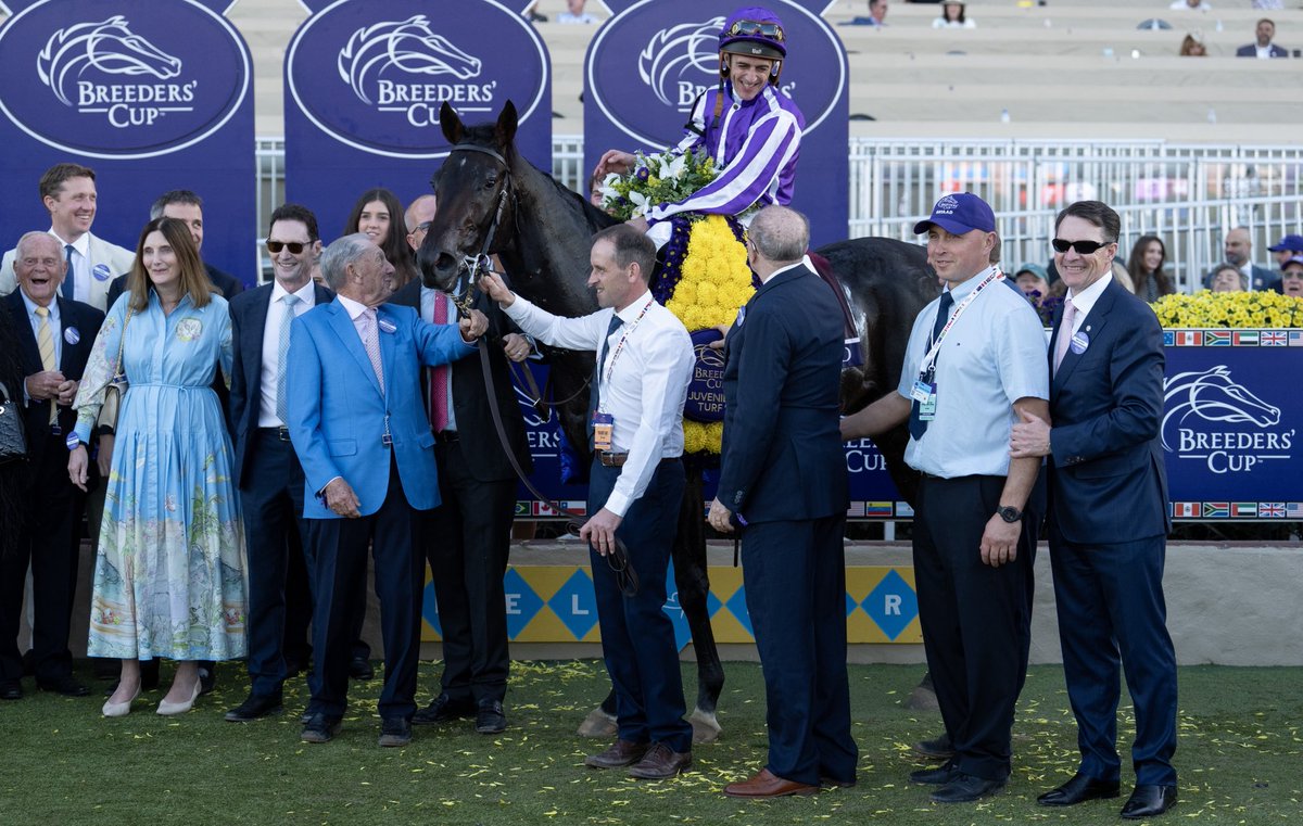 rpbloodstock's tweet photo. Cover stories: find out which stallions the dams of last year's stars are visiting in 2026 👉 https://t.co/ysSomngt7d https://t.co/CfH5ADXeEb