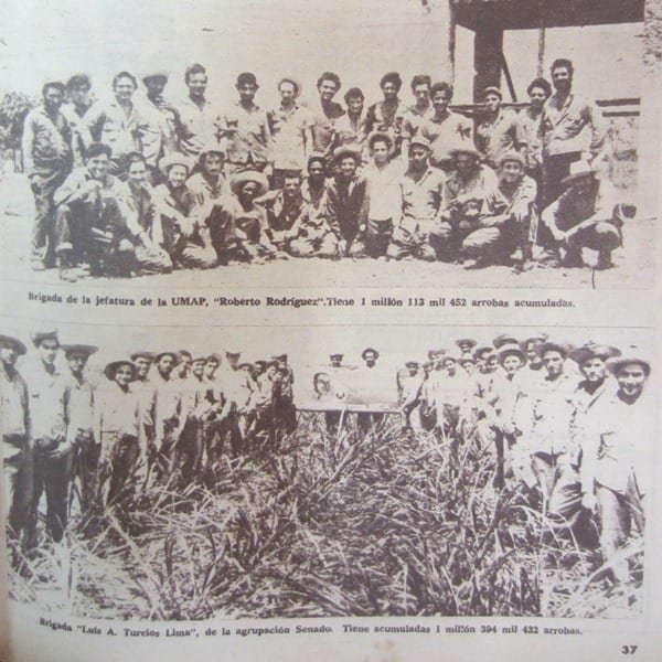 Homo Against Queer Theory tweet media