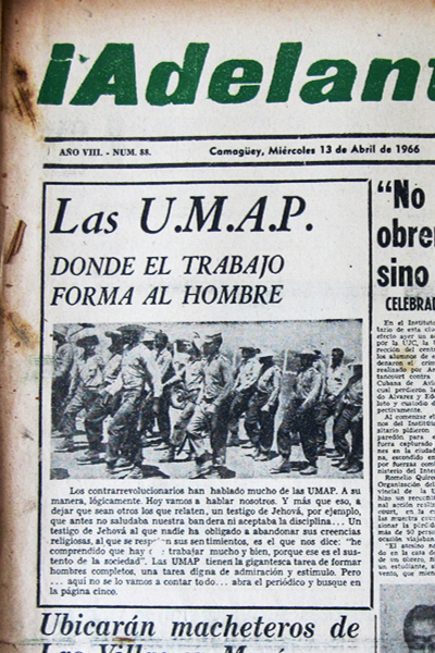 Homo Against Queer Theory tweet media