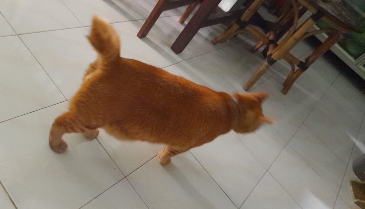 Mocca choco latte ☕ tweet media