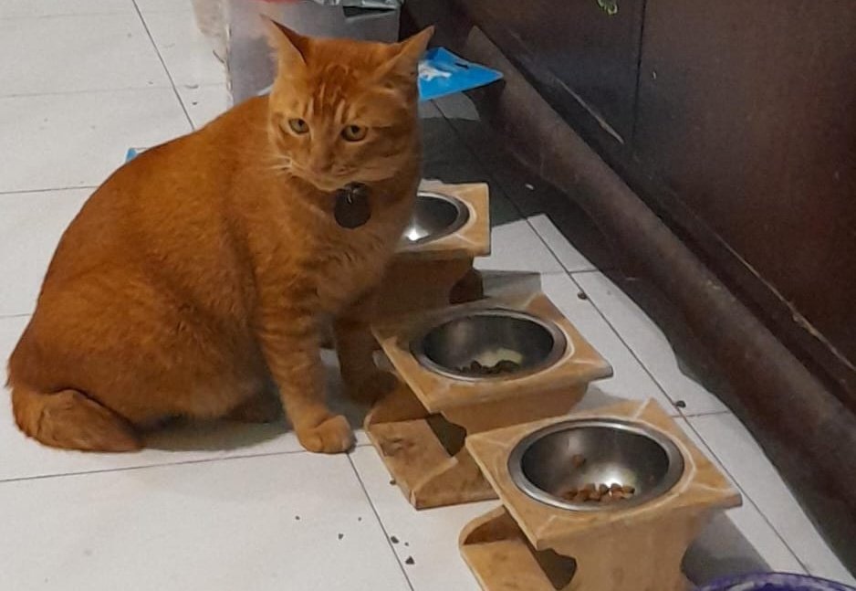 Mocca choco latte ☕ tweet media