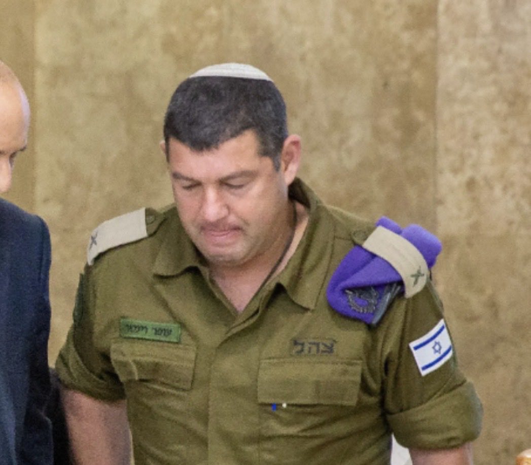 Malgradotutto tweet media