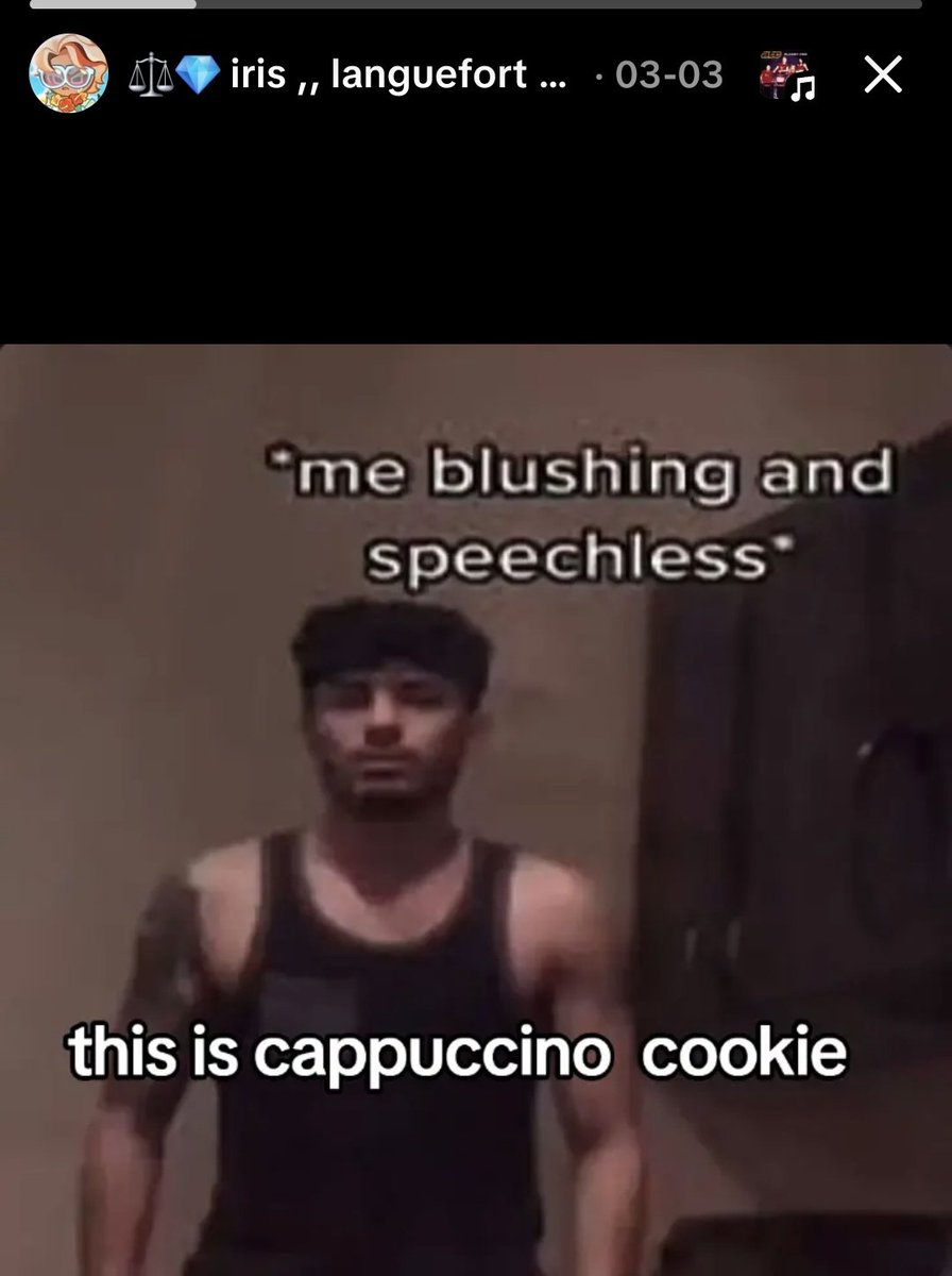 𑣲 ׅ iris 𝜗𝜚 tweet media