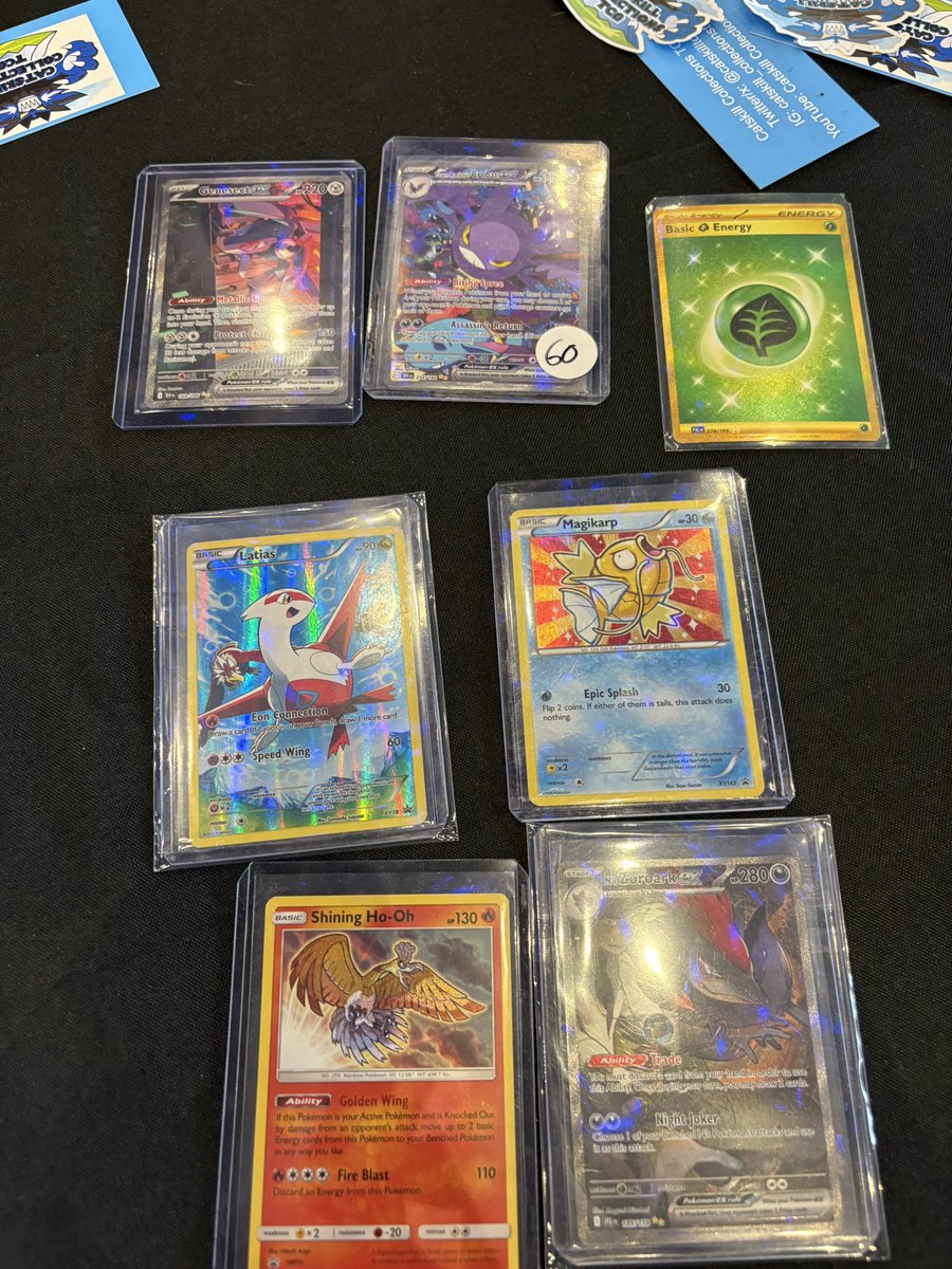 Catskill Collections TCG tweet media