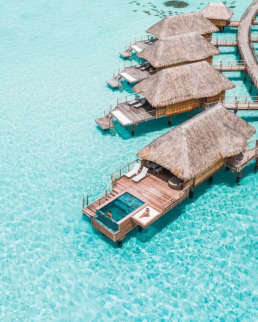 The Nature tweet media