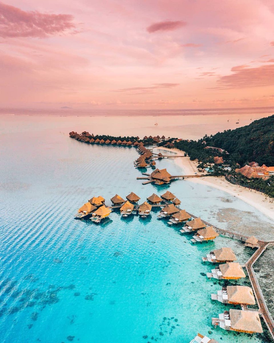 The Nature tweet media