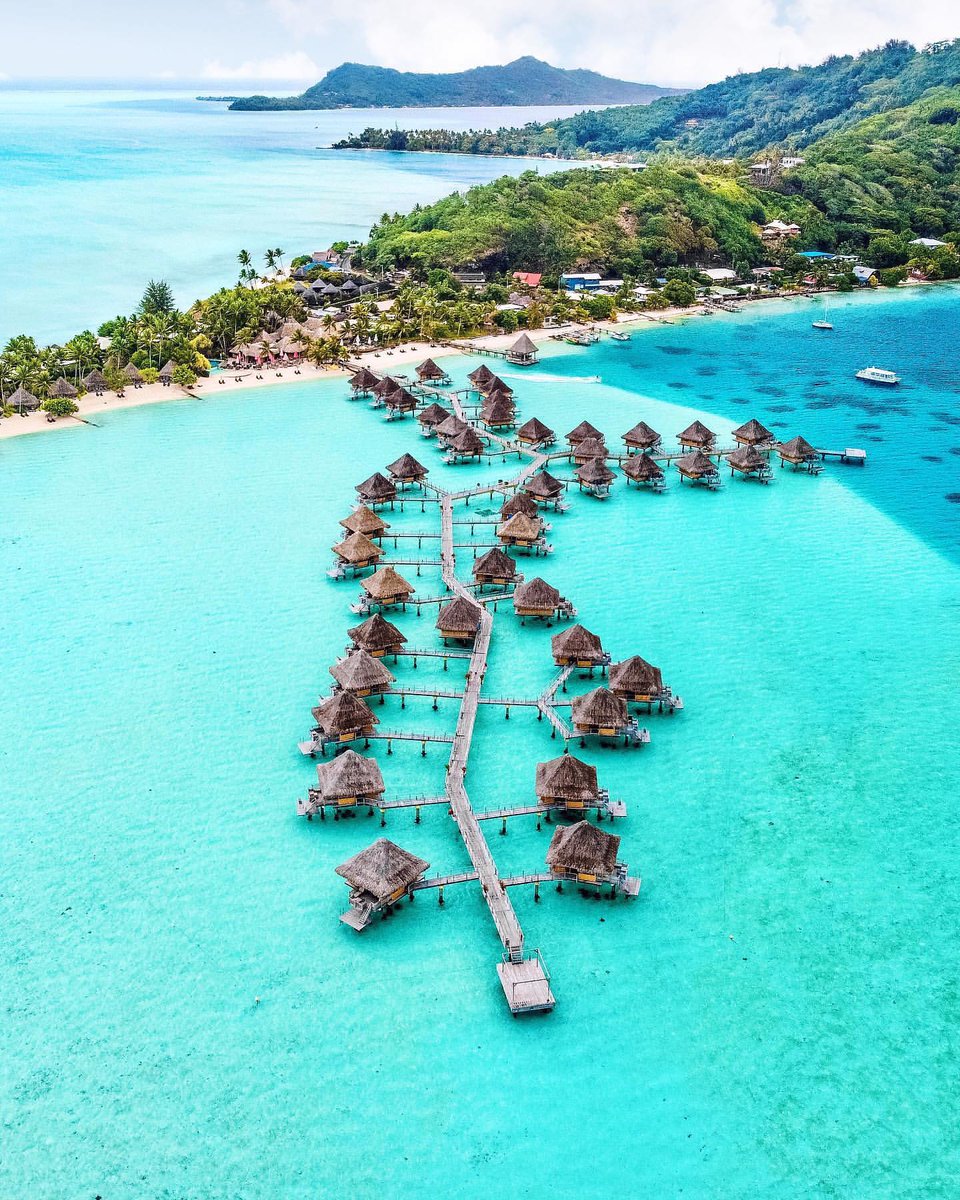 The Nature tweet media