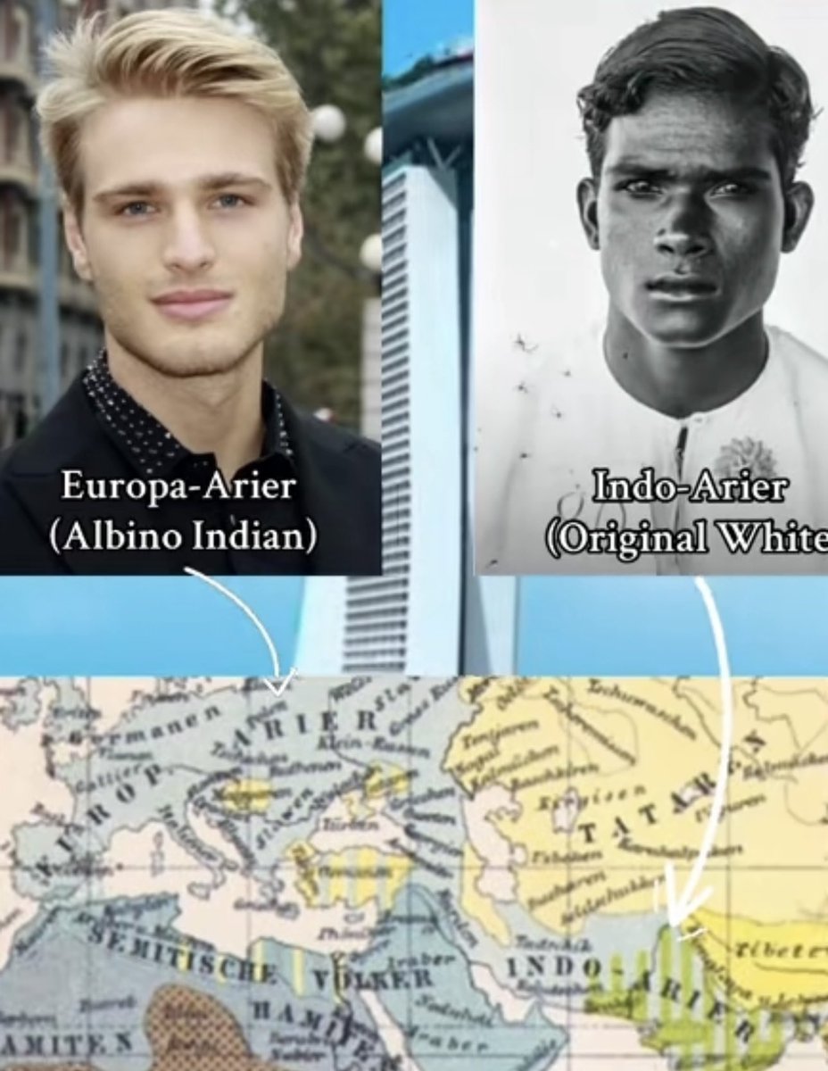 🇸🇴 tweet media