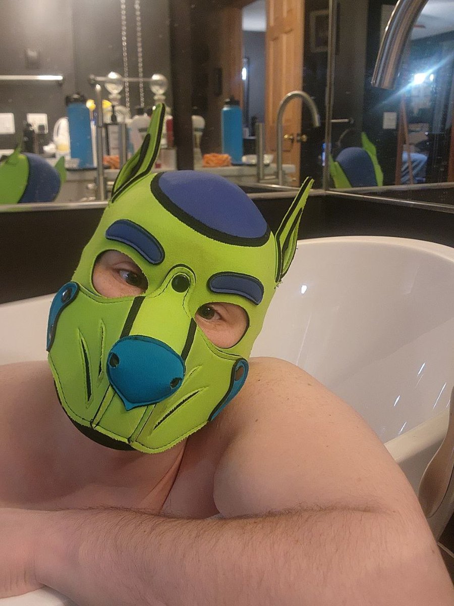 pup milo tweet media