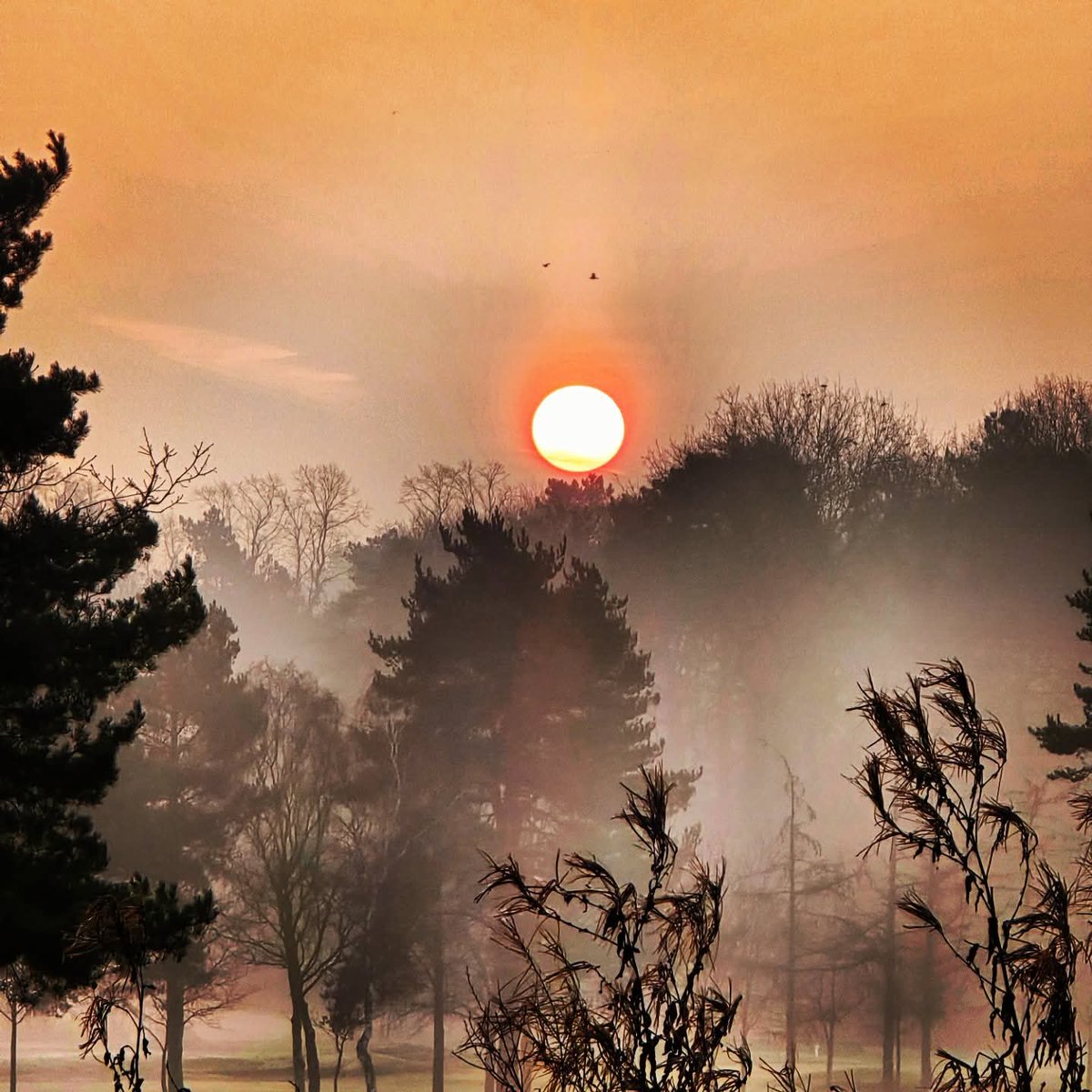 AdamBarton91's tweet photo. The sunrise on @RingwayGolfClub this morning 👌🌄 https://t.co/zFAeTOk2yJ