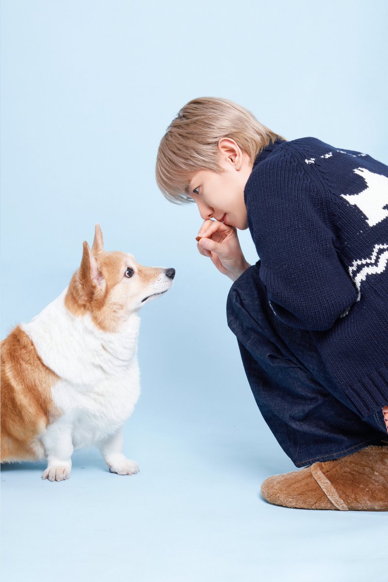 수야˳˳ tweet media