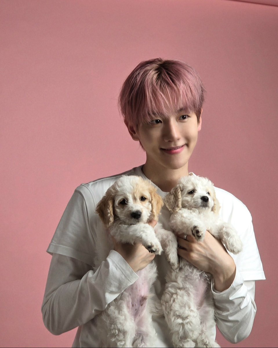 수야˳˳ tweet media