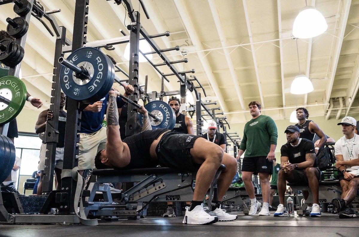 ZHEN SOTELO tweet media