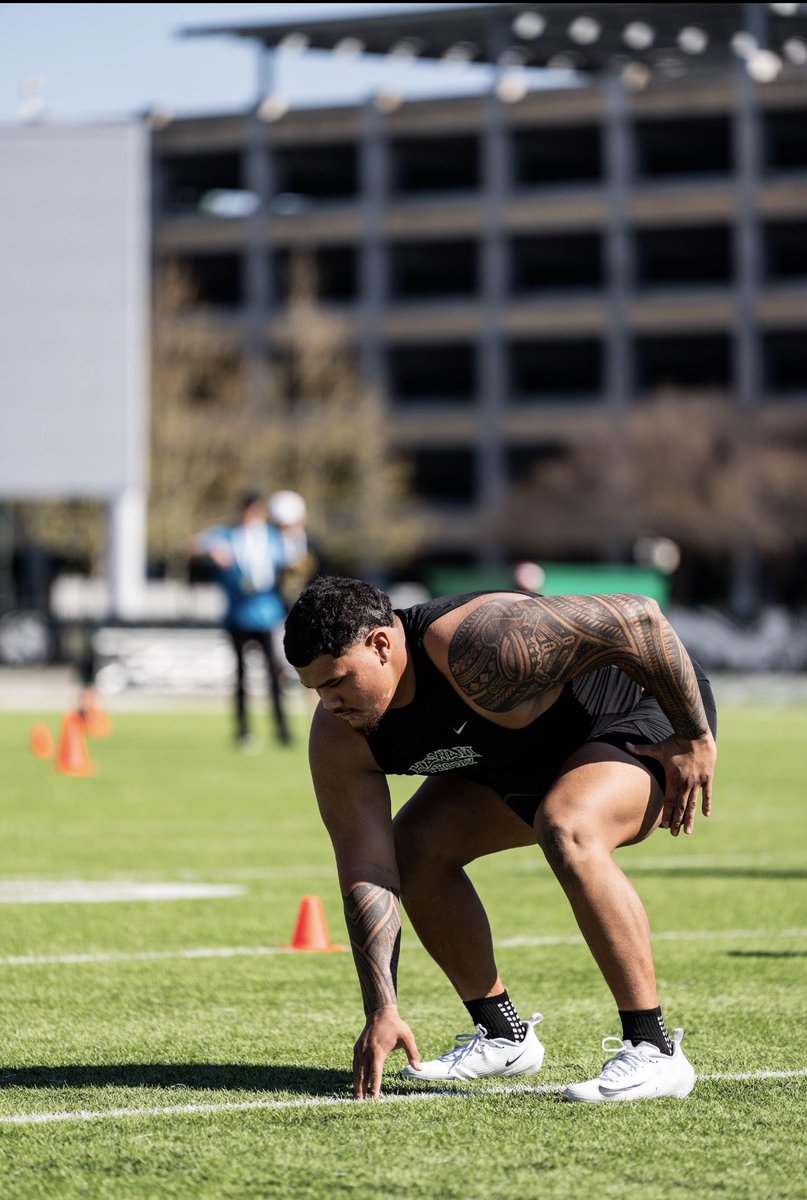 ZHEN SOTELO tweet media