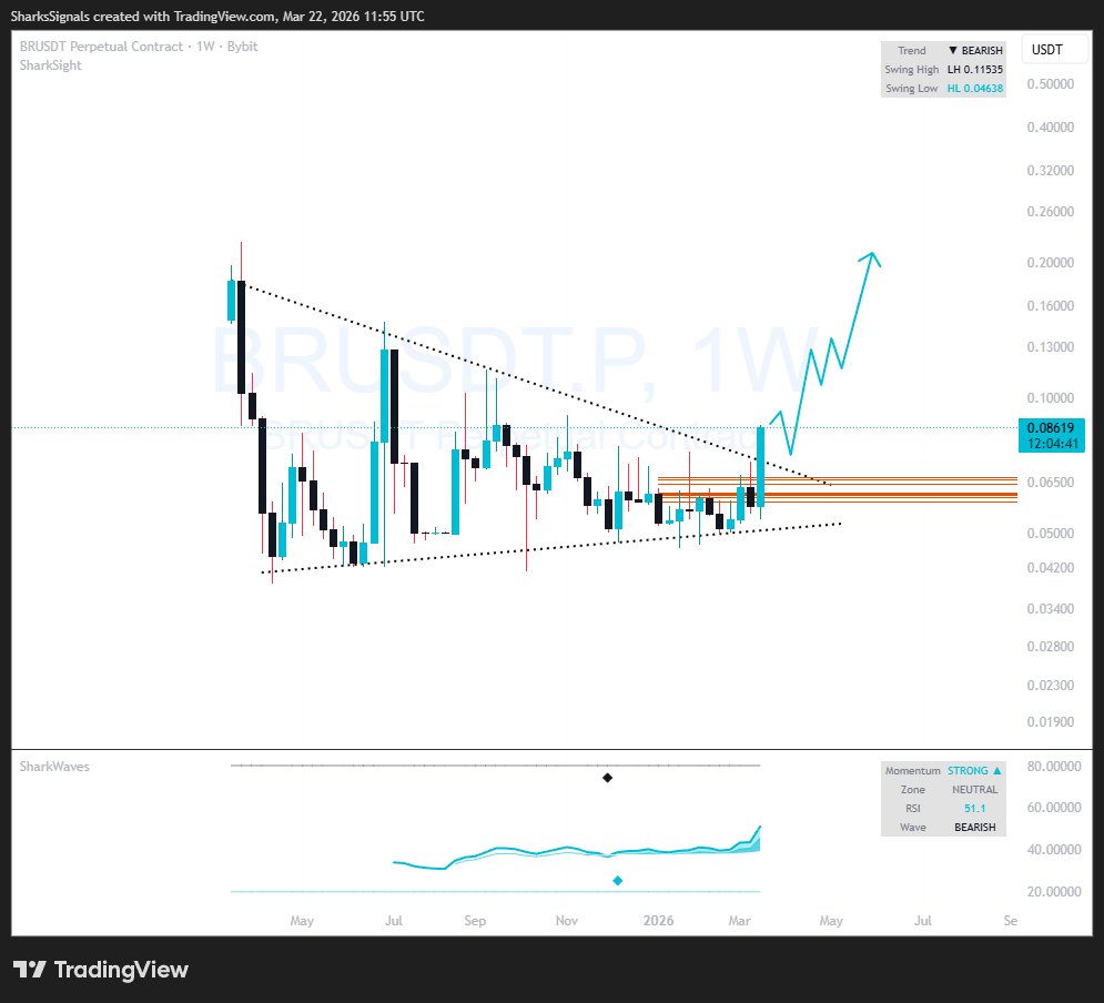 Sharks Signals tweet media