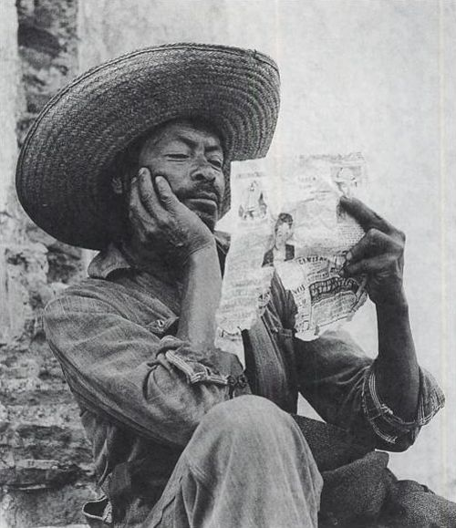 María A. tweet media