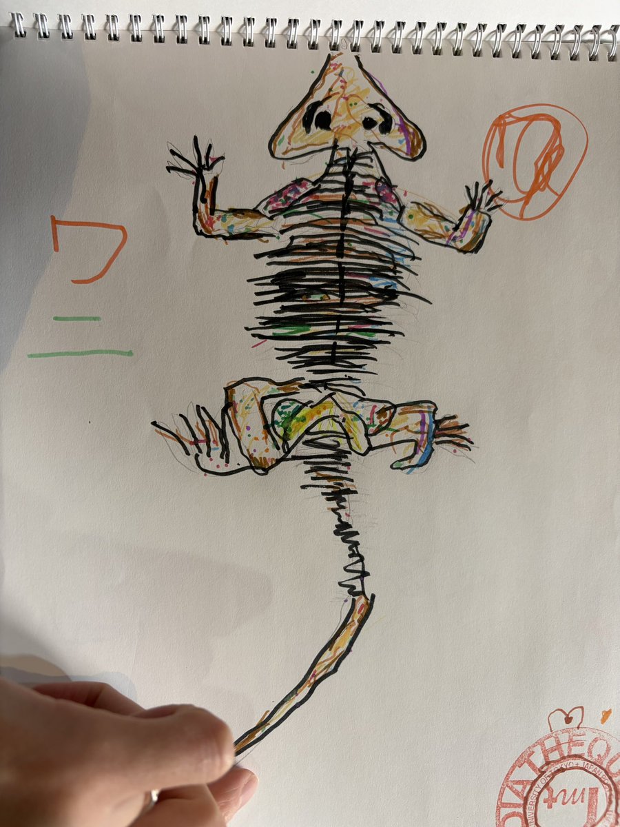 たぬき tweet media