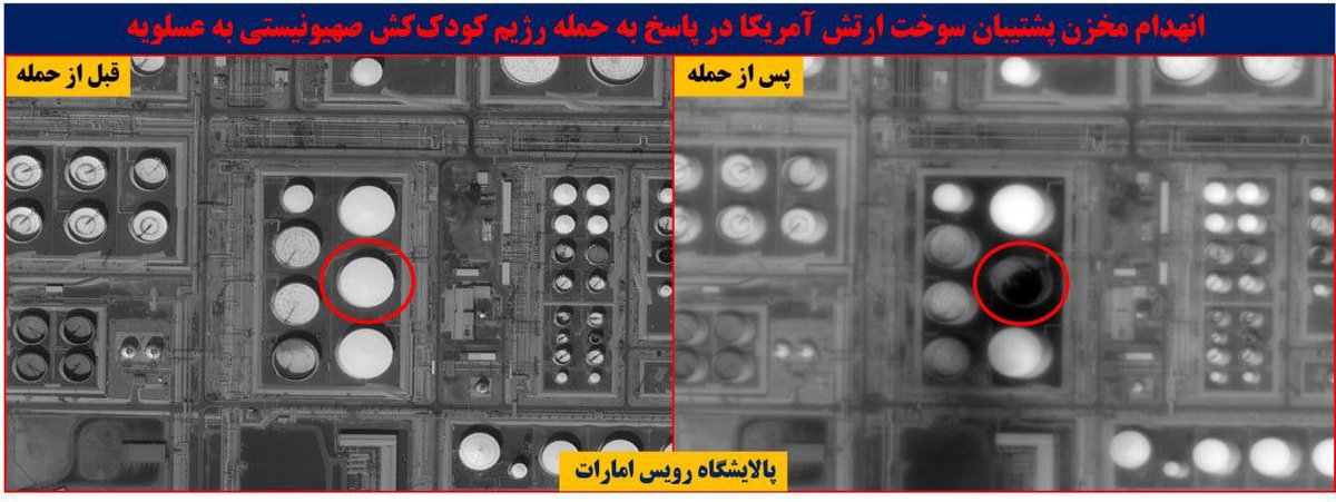 Arya Yadeghaar tweet media