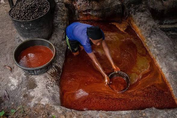 Africa First tweet media