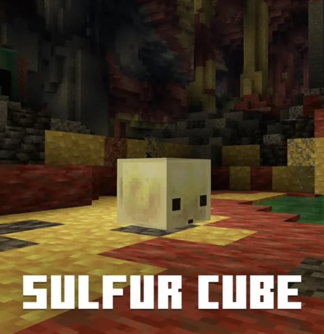 Squilky 🕸️ tweet media