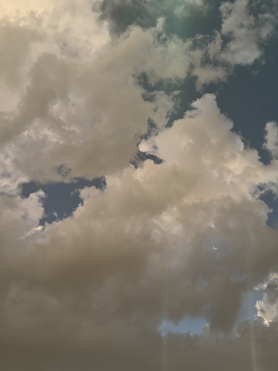 محمَّد.. tweet media