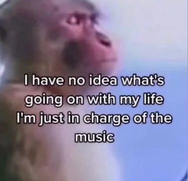 Shibetoshi Nakamoto tweet media