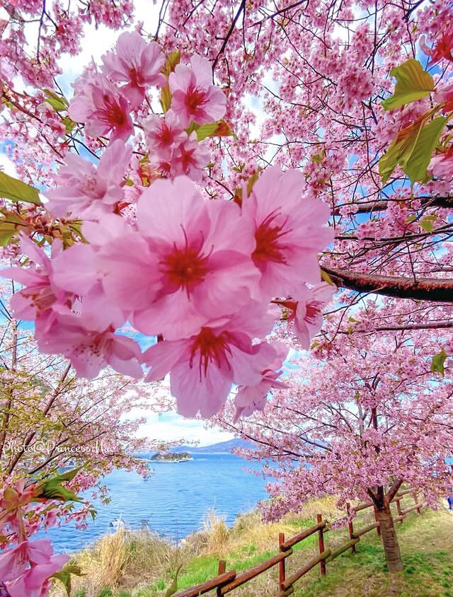 ^livewireLois tweet media