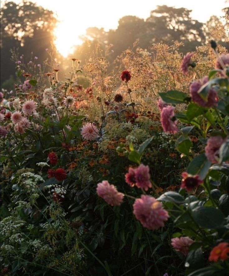 only aesthetic tweet media