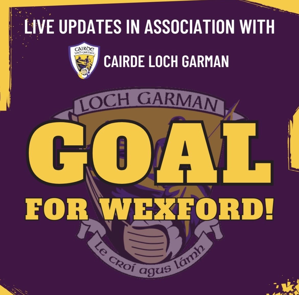 Wexford GAA tweet media