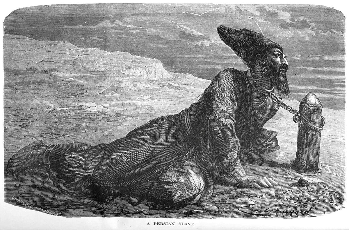 Observer tweet media