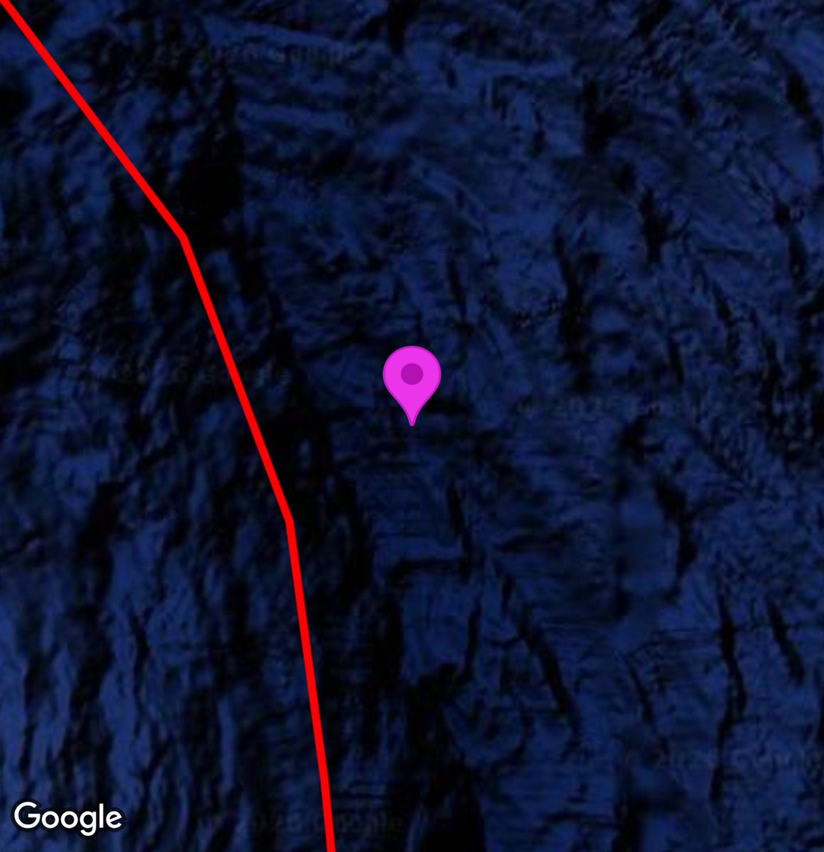 Stuart Wimbles Free Your Mind Art tweet media