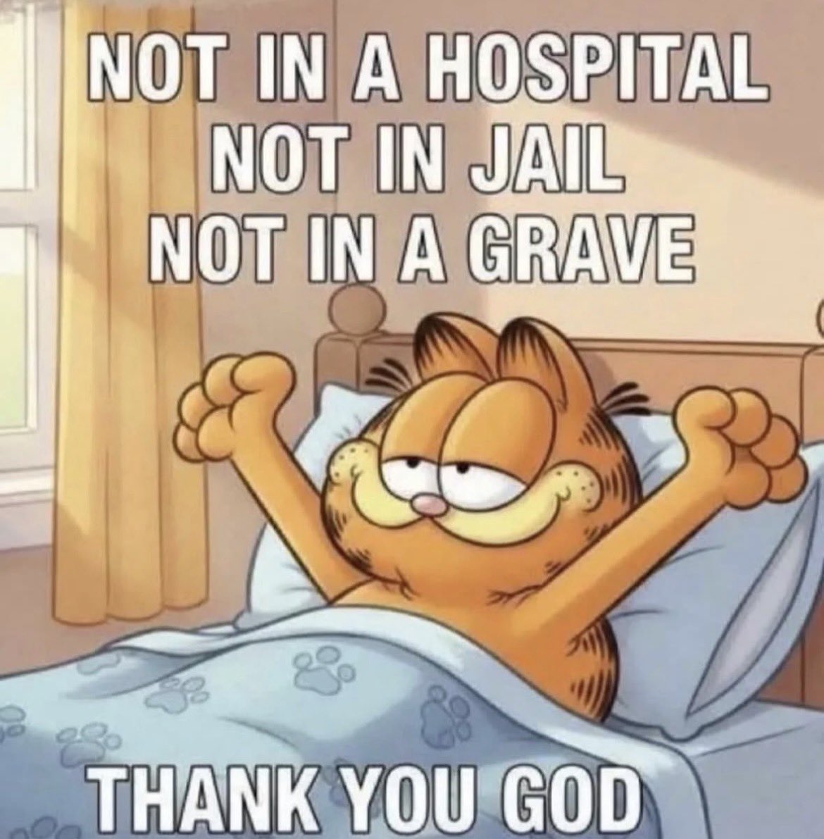 mare sánchez-armáss tweet media