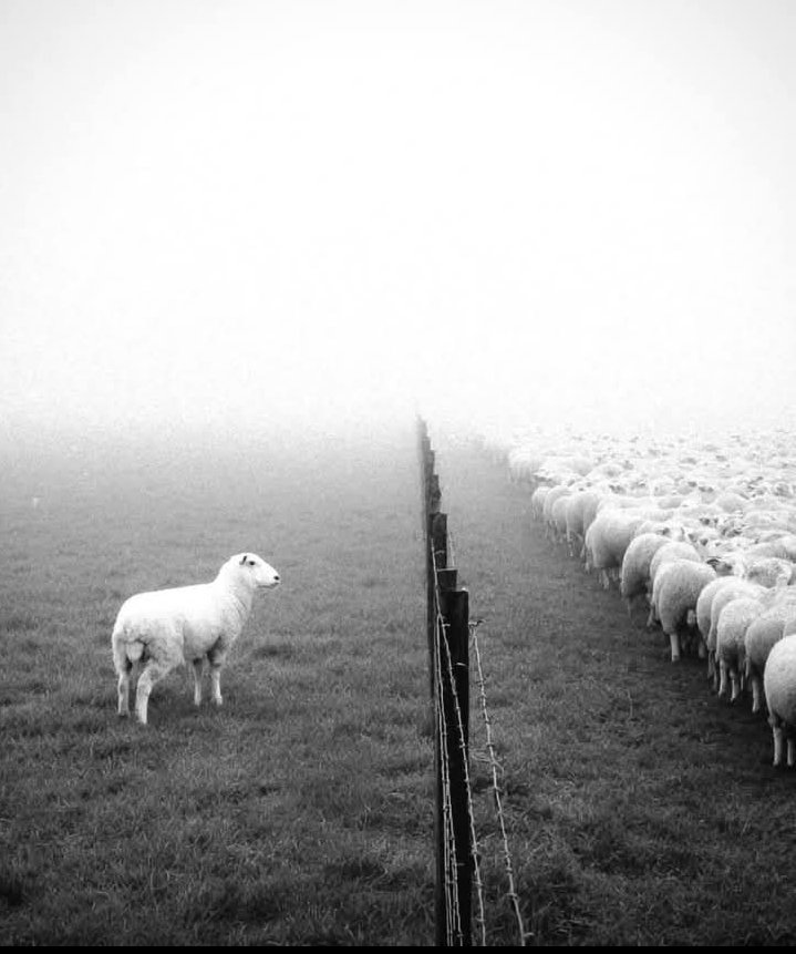 Zakir Hussein Sheikhᴾᵃᵏᴾᵒʷᵉʳ tweet media