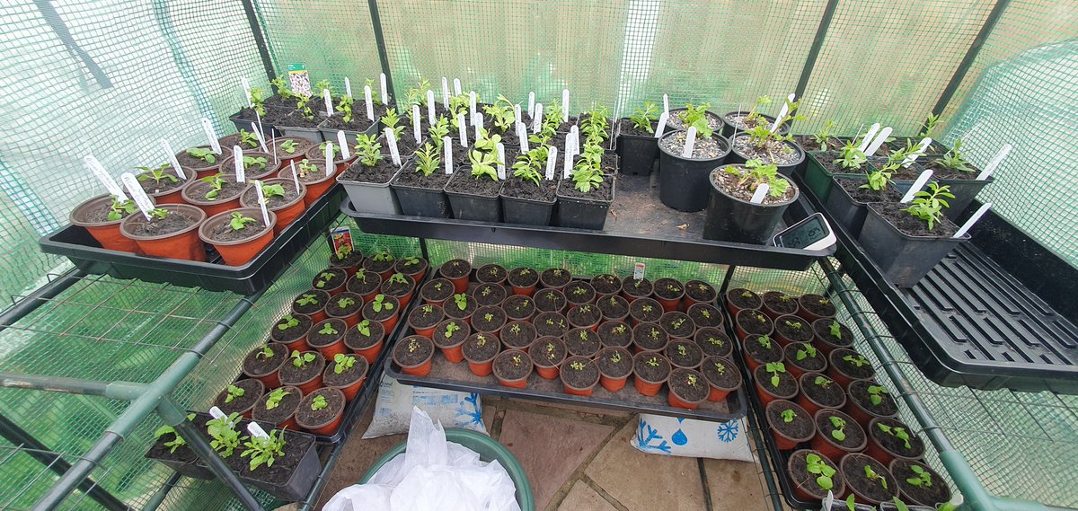 James_Gardening 🕊 tweet media