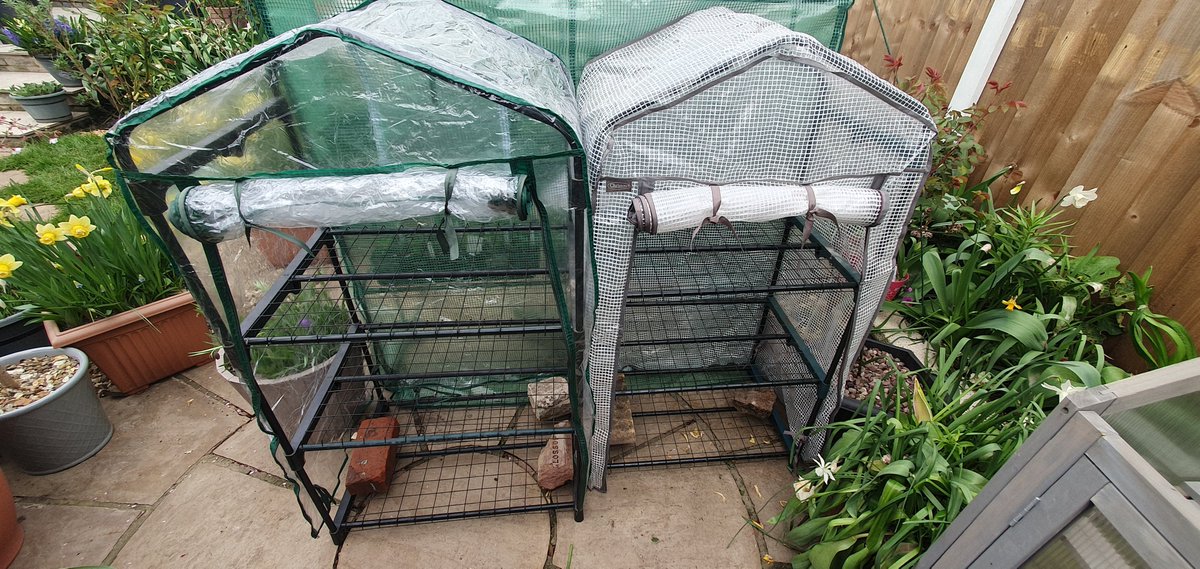 James_Gardening 🕊 tweet media